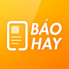 Bao Hay 24h (3)