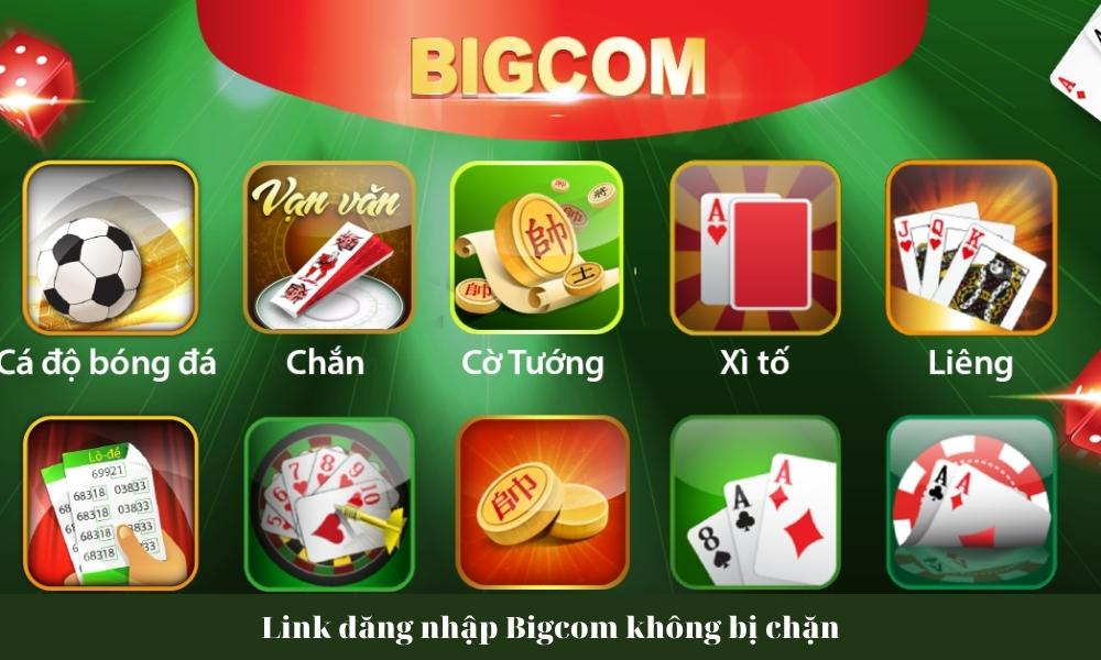 Bigcom (1)