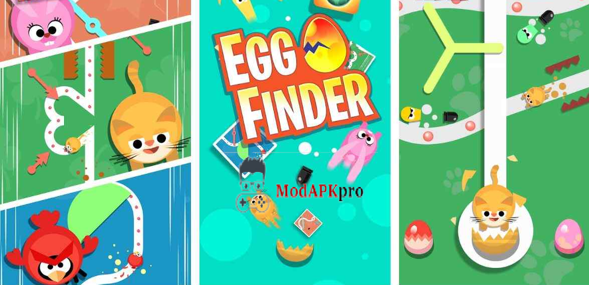 Egg Finder (1)