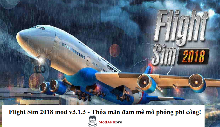 Flight Sim 2018 Mod (2)