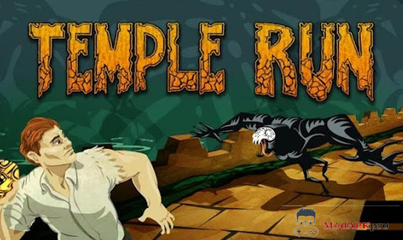 Temple Run (5)